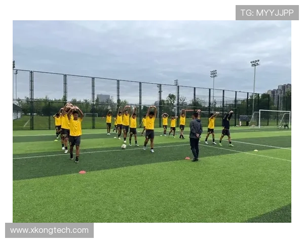 与足球明星面对面畅聊梦想与荣耀的精彩瞬间