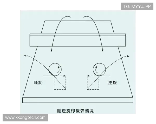乒乓球新手必看：快速掌握技巧与战术的全面入门指南