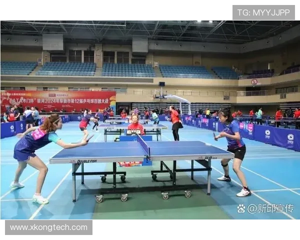 乒乓球深度解析西安乒乓球队的转型与发展之路